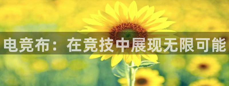 安博电竞网上官网是正品吗：电竞布：在竞技中展现无限可能