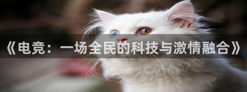 安博电竞首页官网